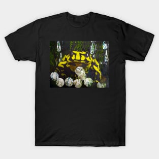 Australian Corroboree Frog in Rain T-Shirt